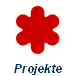 Projekte